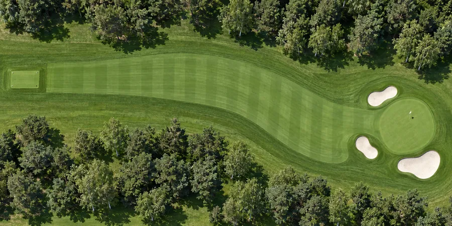 Aerial view of hole 14, Wren's Nest, from the tee on the left to the green on the right.